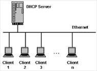 آشنايي با DHCP Server در محدوده خود فرمانروايي كنيد