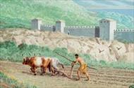 بررسی تاریخچه کشاورزی