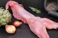 بررسی تاثیر دمای پخت و زمان آن در میزان تردی و کلاژن در گوشت خرگوش