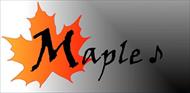 دانلود آموزش نرم افزار Maple13