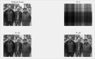برنامه حل مسئله فشرده سازی تصویر در دو بعد (پاسخ PGD) در متلب