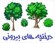 جزوه درختچه های زینتی ایران