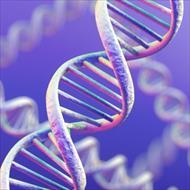 خالص سازی (تخلیص) DNA از سلولهای زنده