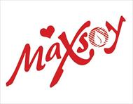گزارش کارآموزی شرکت تولید کننده مواد غذایی سویا سان Maxsoy
