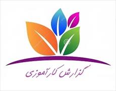 گزارش کارآموزی شبکه بهداشت و درمان کرمان